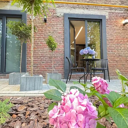 Maison Fleurie Apartment Lviv